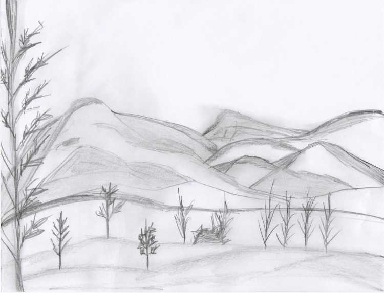 Природа карандашом