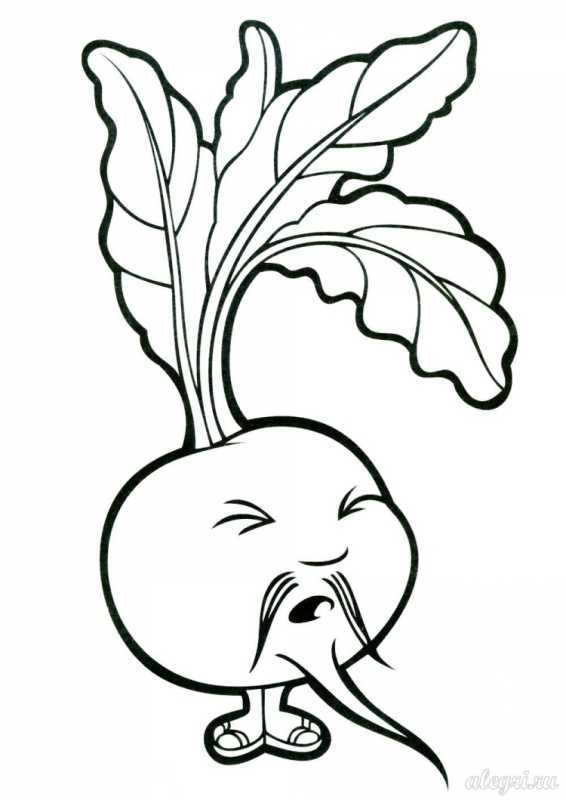 Раскраска "фрукты"