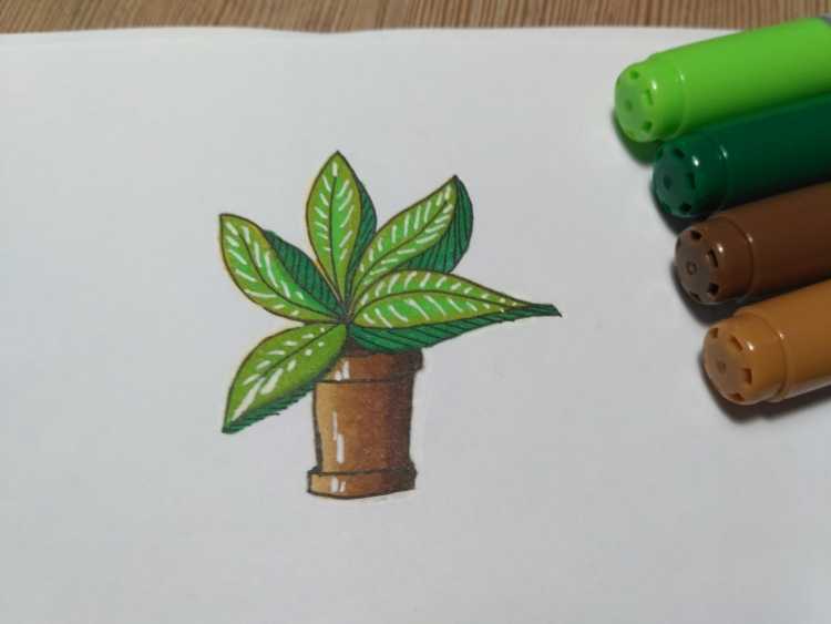 Растения маркером легкие