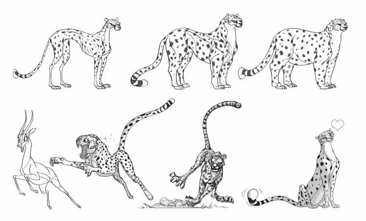 Раскраска-антистресс животные