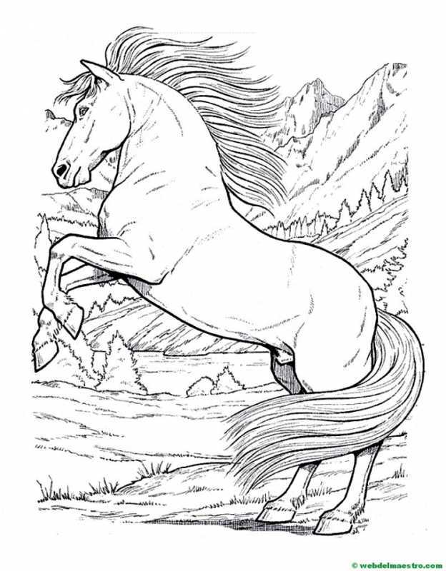 Раскраска лошадка раскраска