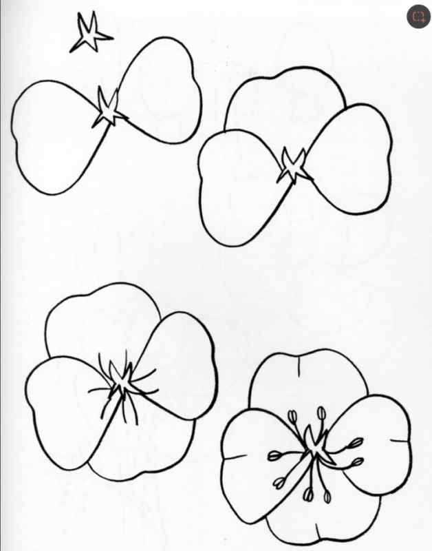 Цветы для рисования