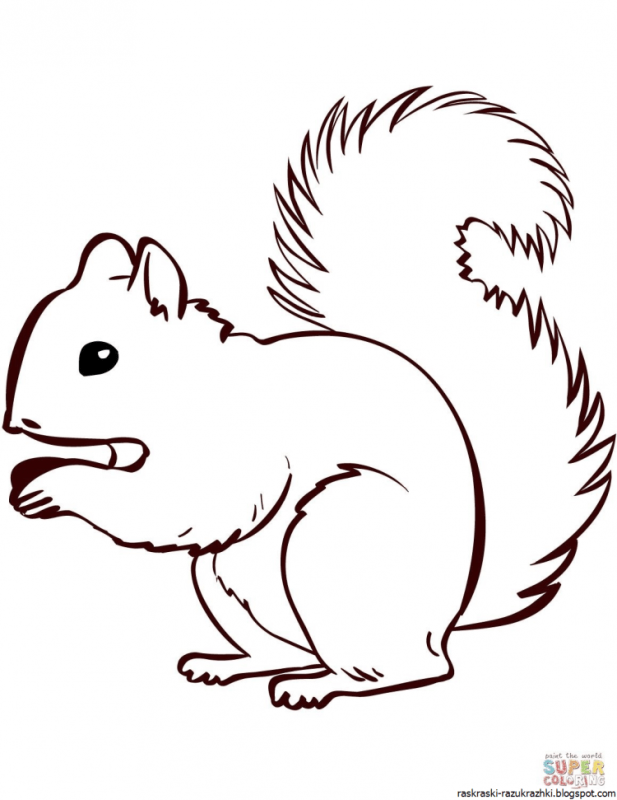 Раскраска Лесные животные