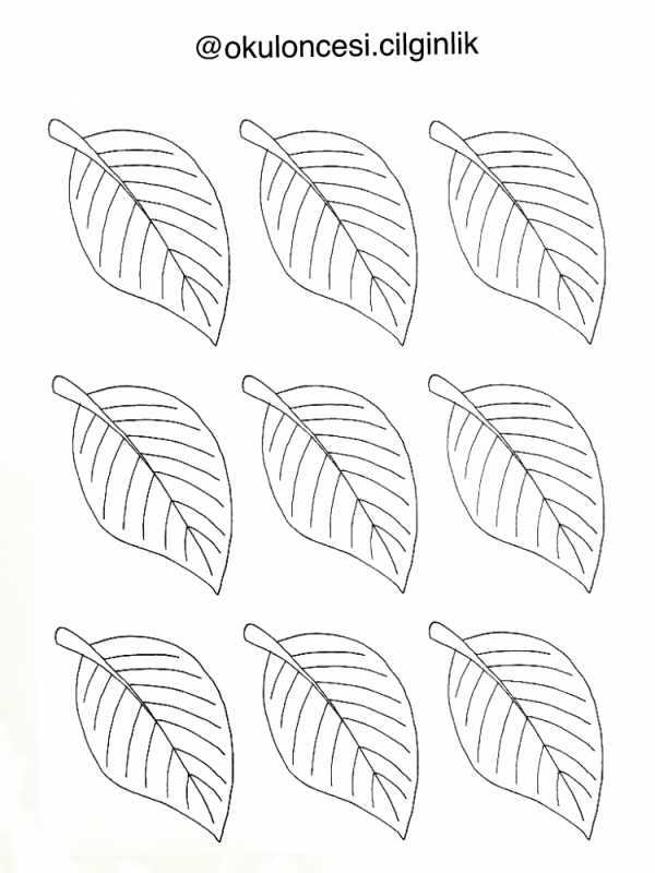 Лист яблони раскраска