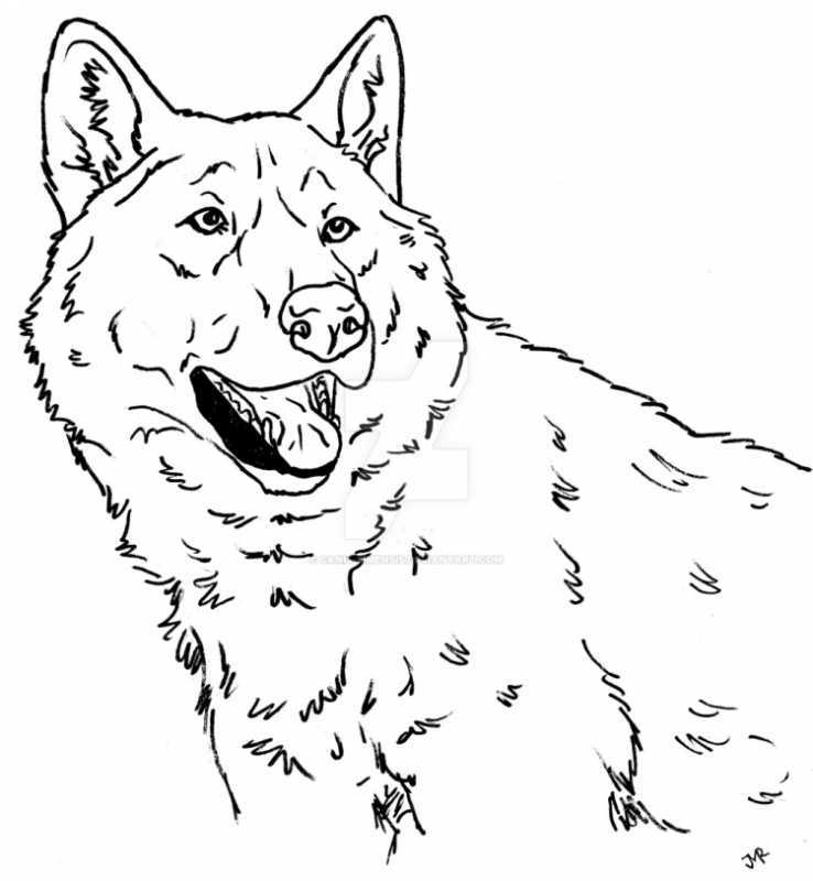 Раскраска семья Волков