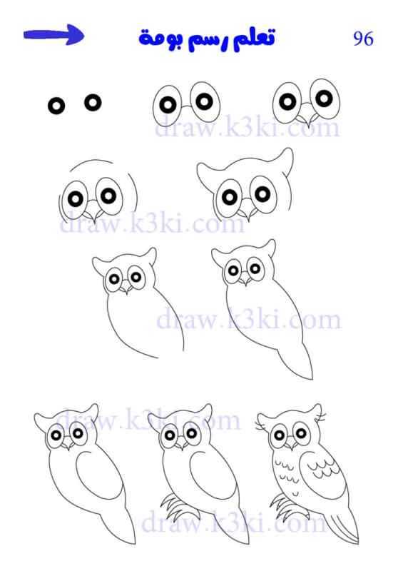Поэтапное рисование Совы
