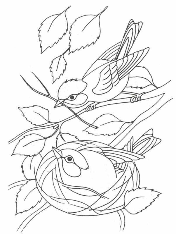 Раскраски природа для детей