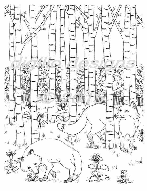 Тополь Фармакогнозия