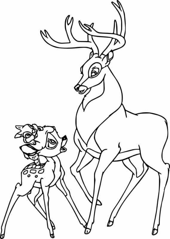 Раскраска олень в лесу