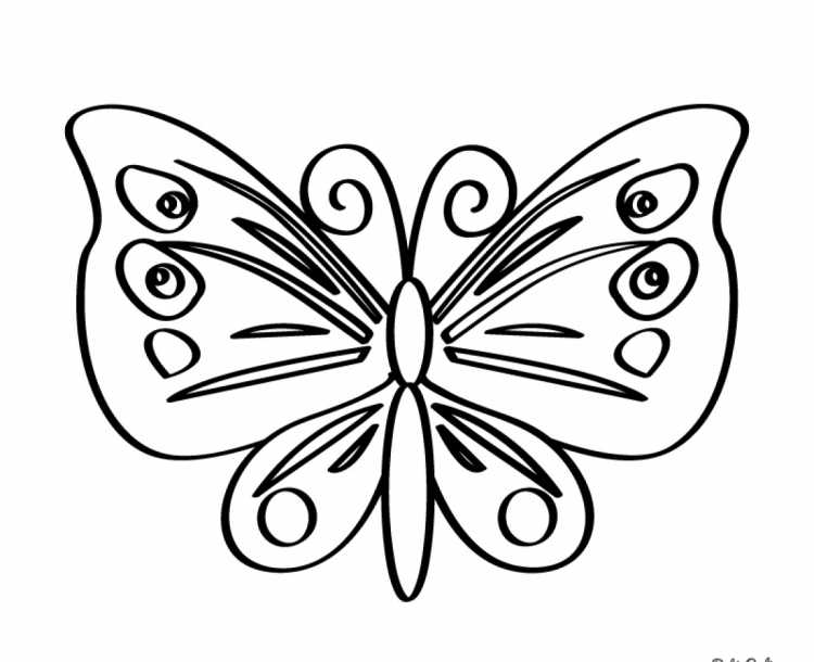 Раскраска "бабочки"