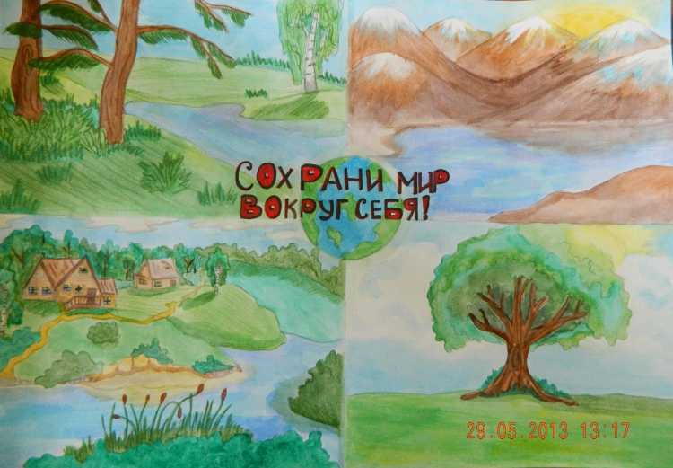 Экология родного края рисунки