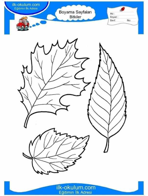 Трафарет листьев