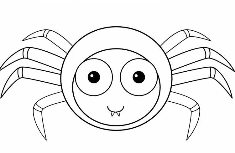 Паучок раскраска