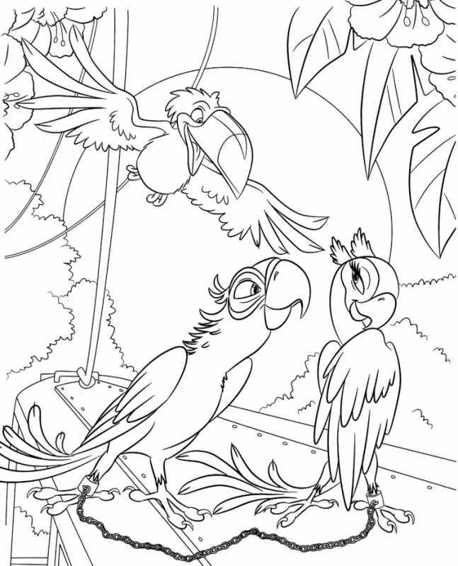 Попугай для срисовки