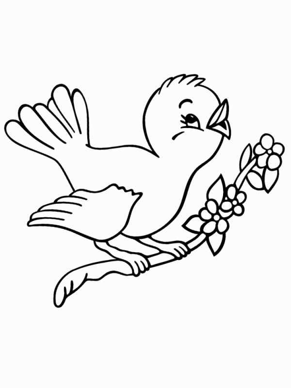 Зимующие птицы разукрашки для детей синица