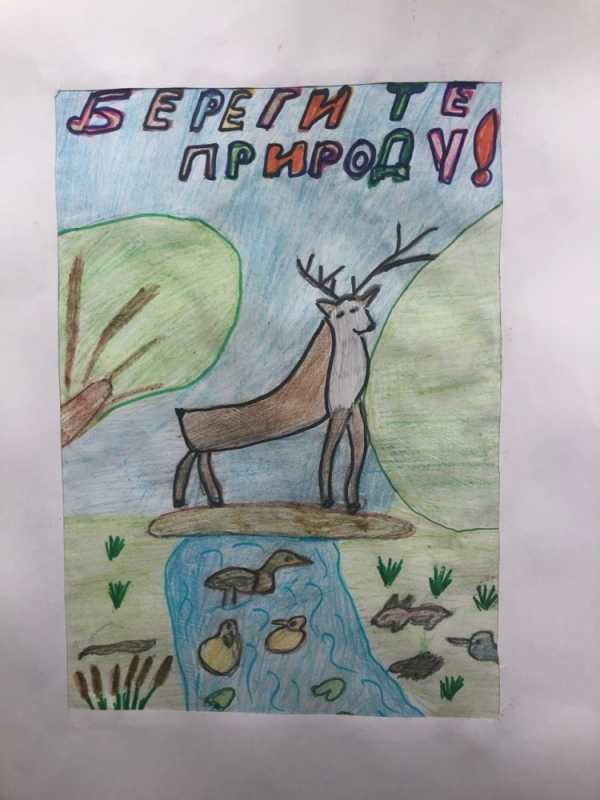 Плакат берегите животных