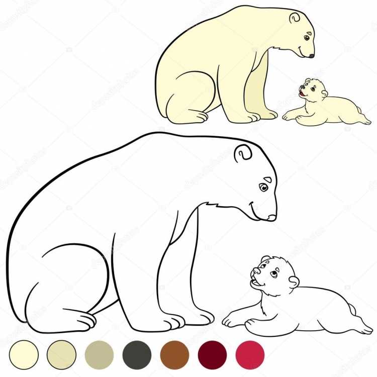 Раскраска. Медвежонок