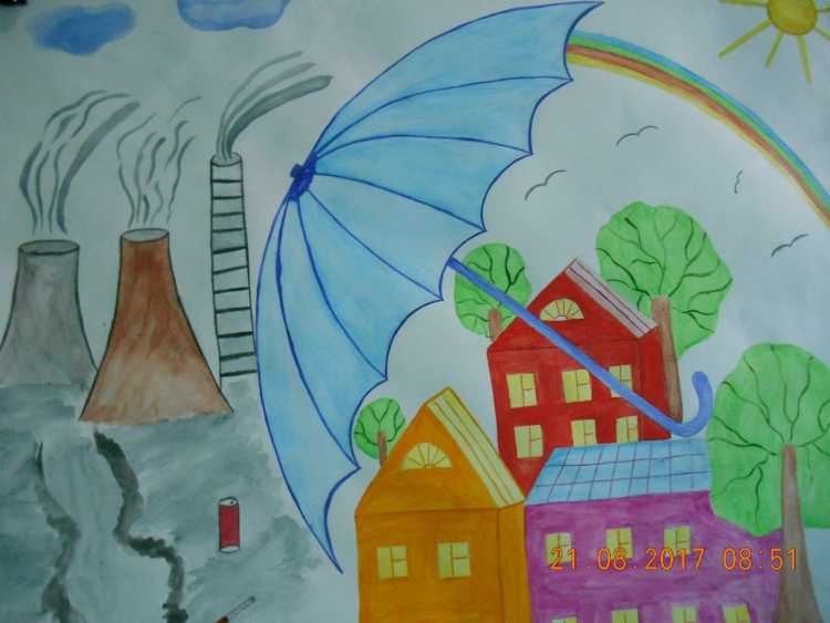 Проекты детей экология глазами детей