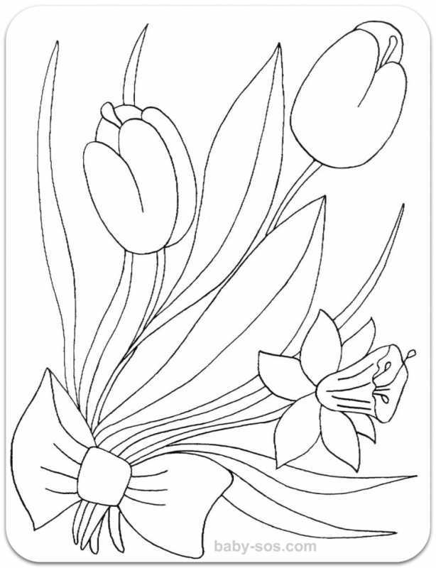 Тюльпаны рисунок карандашом