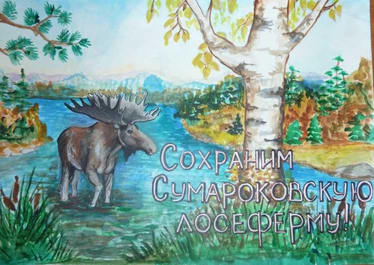 Плакат мир заповедной природы