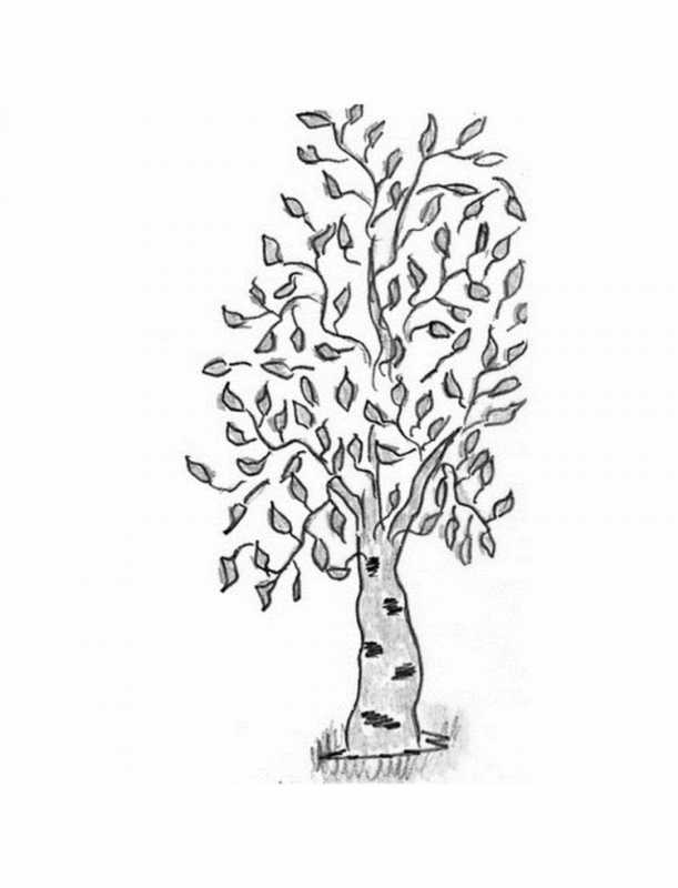 Дерево раскраска для детей