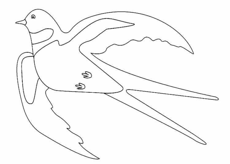 Ласточка раскраска для детей