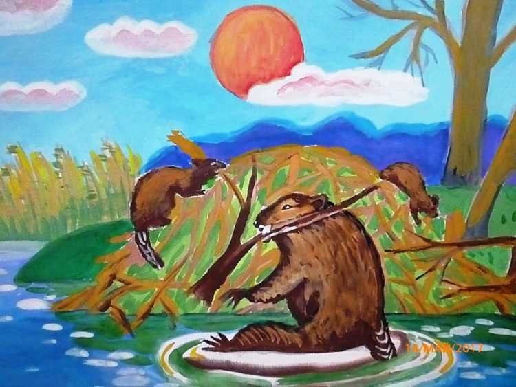 Детские рисунки бобра