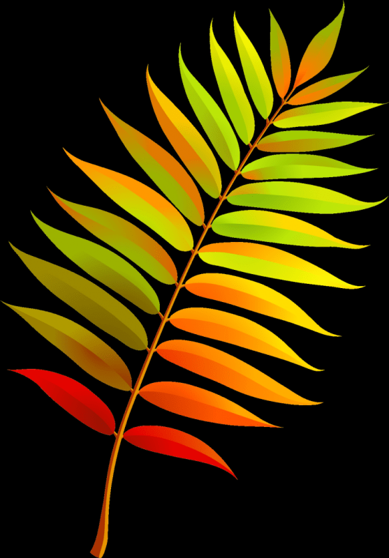 Лист рябины