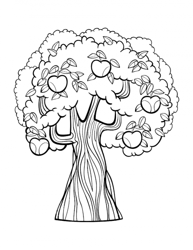 Контуры деревьев для раскрашивания