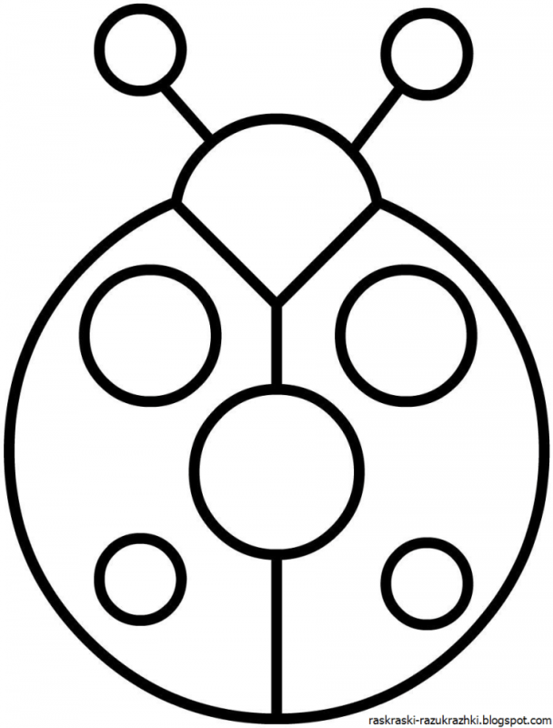 Симметричный Жук