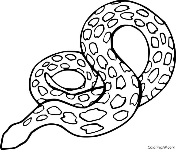 Раскраска Кобра