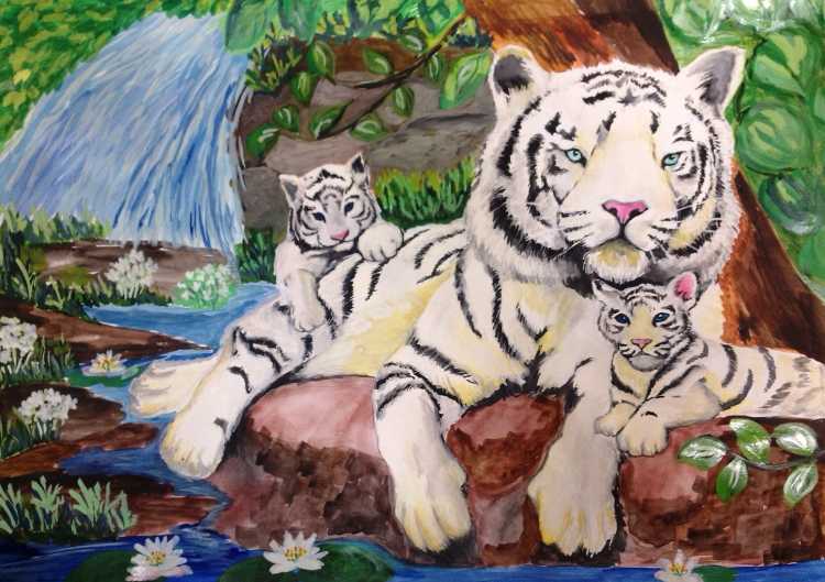 Конкурс Амурский Тигрёнок