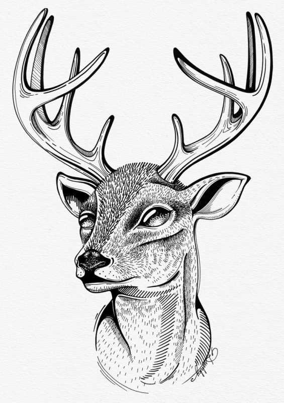 Мандала олень