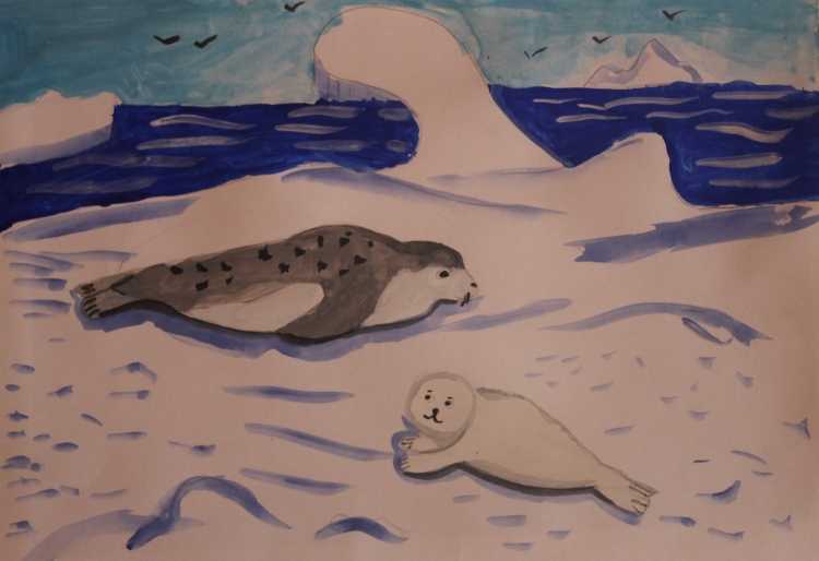 Рисование животных Арктики