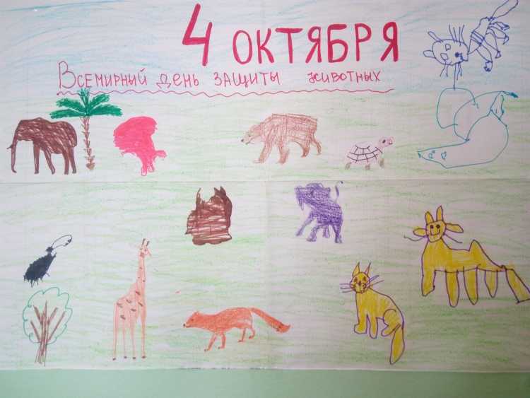 Плакаты на тему животных