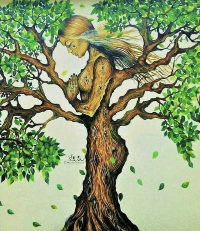 Образ дерева