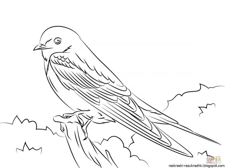 Рисование ласточки