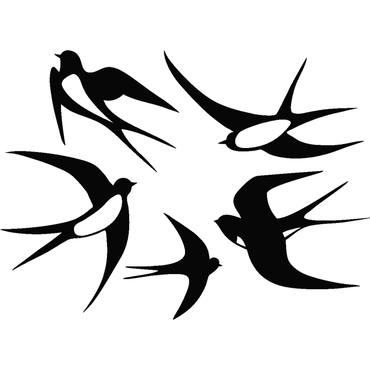 Стриж раскраска для детей