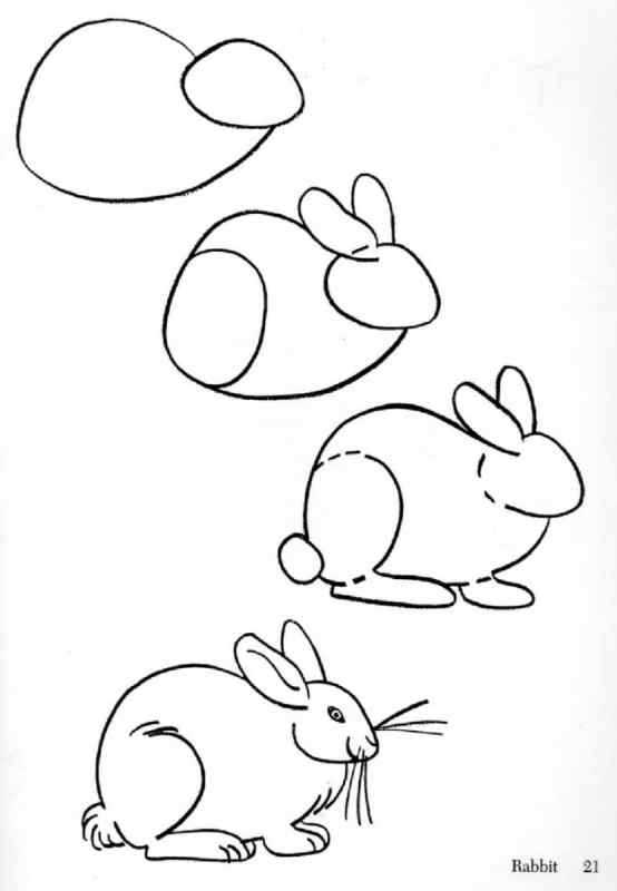 Поэтапное рисование животных