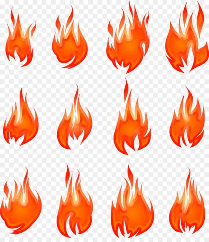 Огненная роза