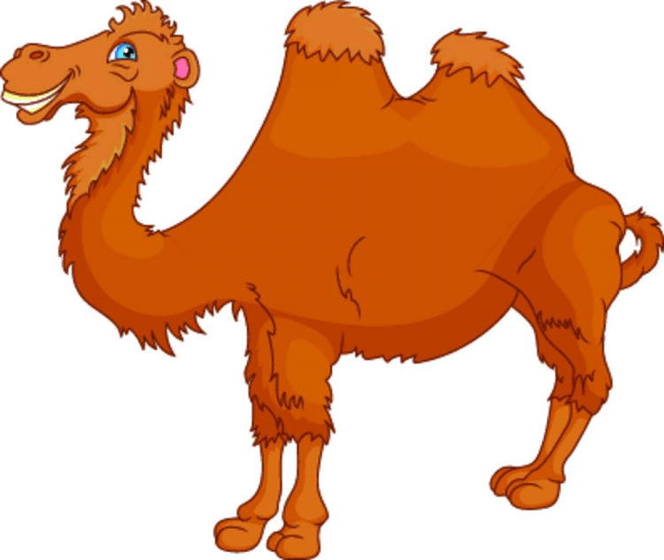 Верблюд мультяшный на белом фоне