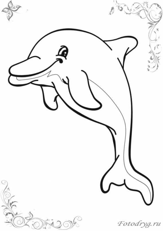 Дельфин раскраска для детей