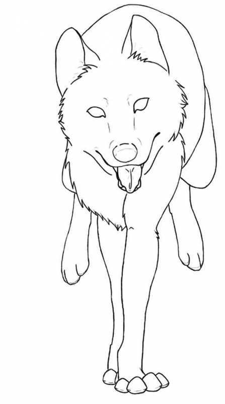 Волк раскраска для детей