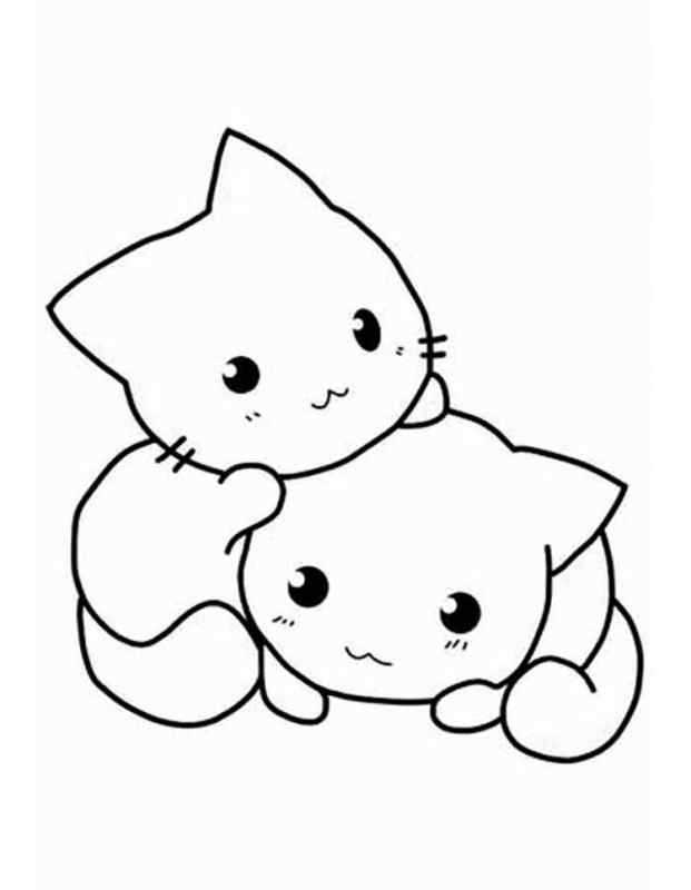 Раскраски котят для срисовки