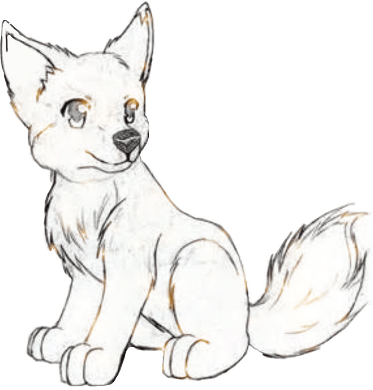 Аниме животные для срисовки карандашом