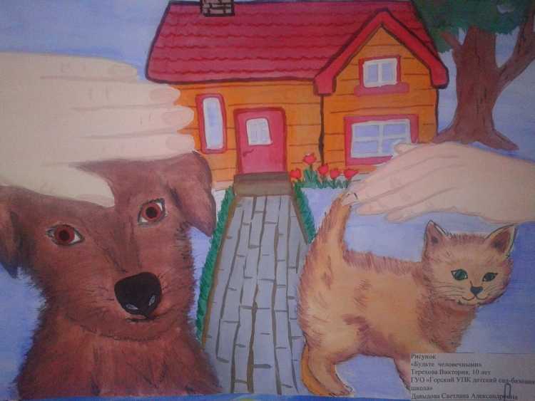 Бездомные животные глазами детей