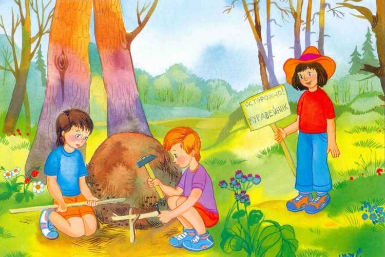 Лето иллюстрации для детей