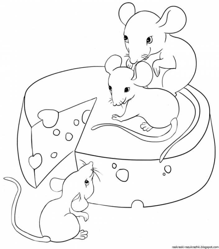 Мышка контур