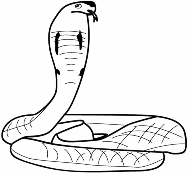 Раскраска змеи для детей