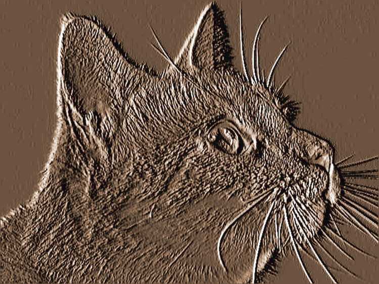 Кот барельеф